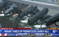 Tennessee House takes up permitless carry bill