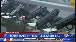 Tennessee-House-takes-up-permitless-carry-bill